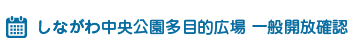 しながわ中央公園多目的広場確認